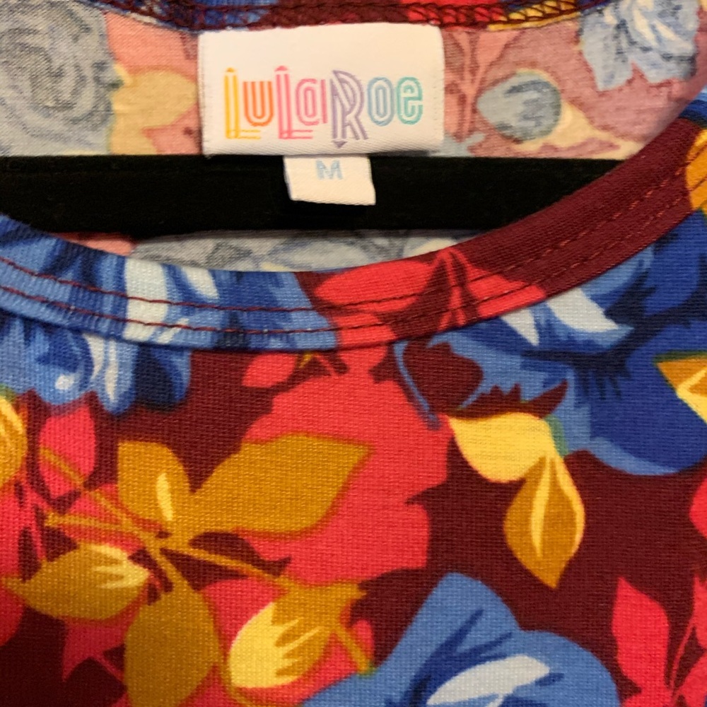 LuLaRoe Carly Swing Dress